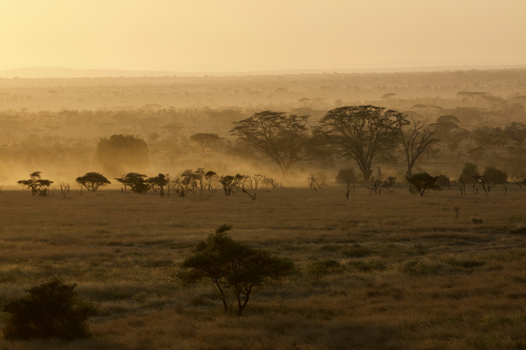Okavango, Privately