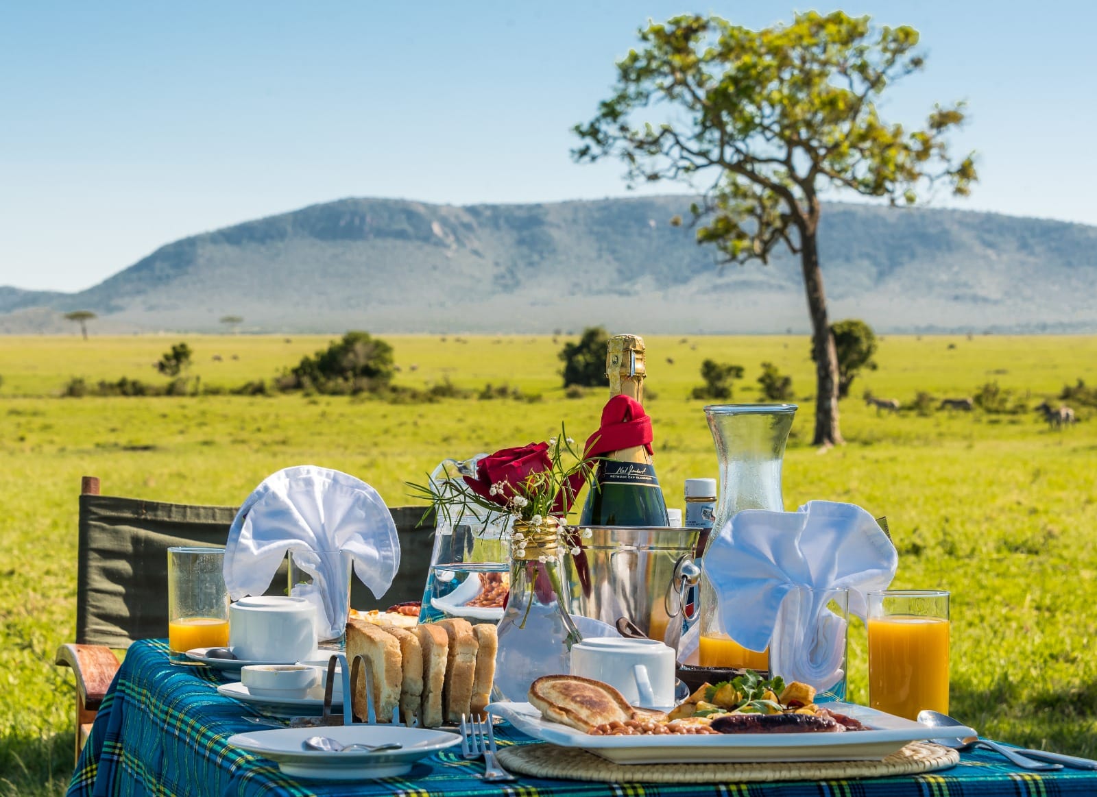 Breakfast Without Walls