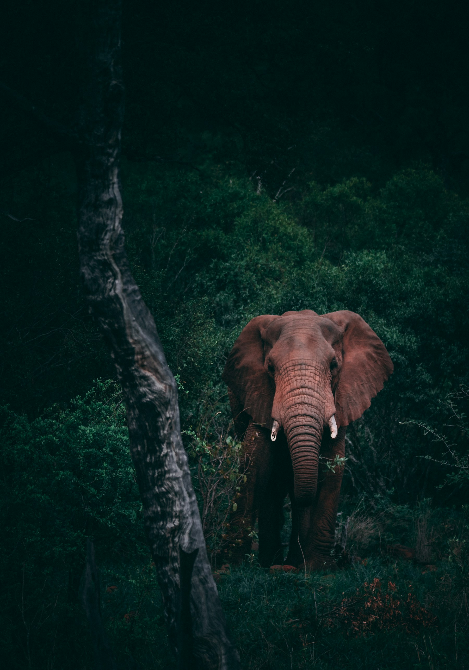 Why Private Conservancies Matter