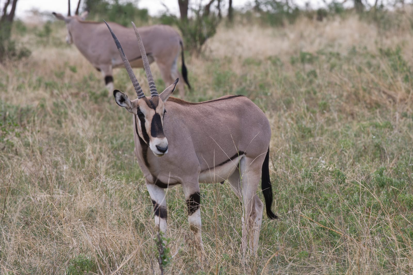 Beyond the Big Five