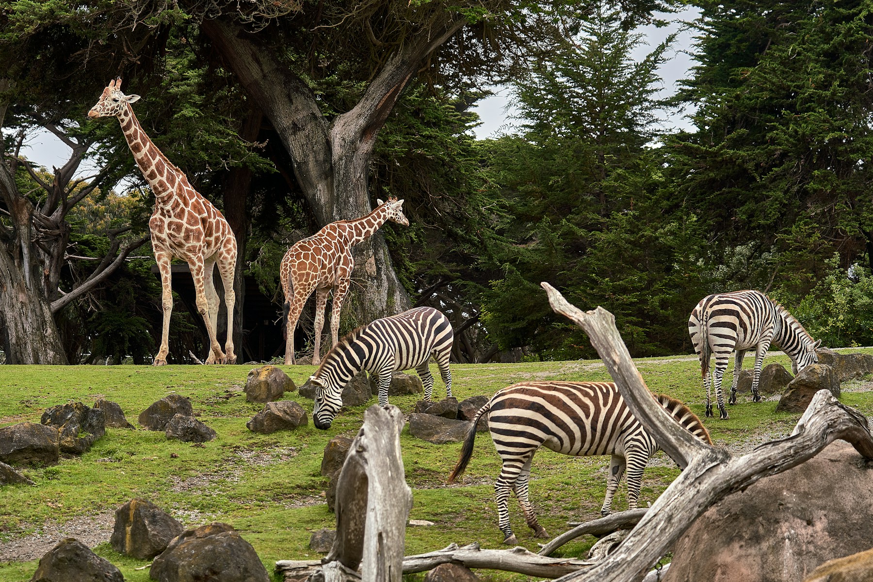 The Grand East Africa
